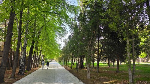 Пансионат Солнышко 6353